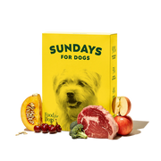 Air-Dried Dog Food Beef
