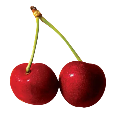 Fruits & Vegetables