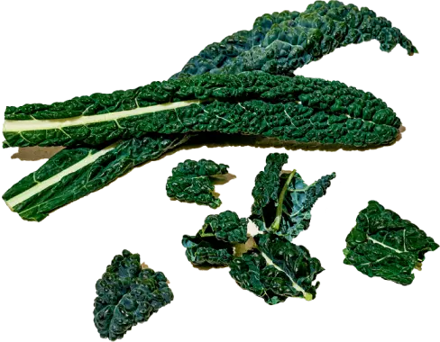 Fruits & Vegetables