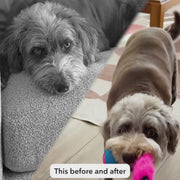 Air-Dried Dog Food Chicken