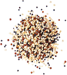 Seeds & Grains