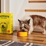 Air-Dried Dog Food Beef