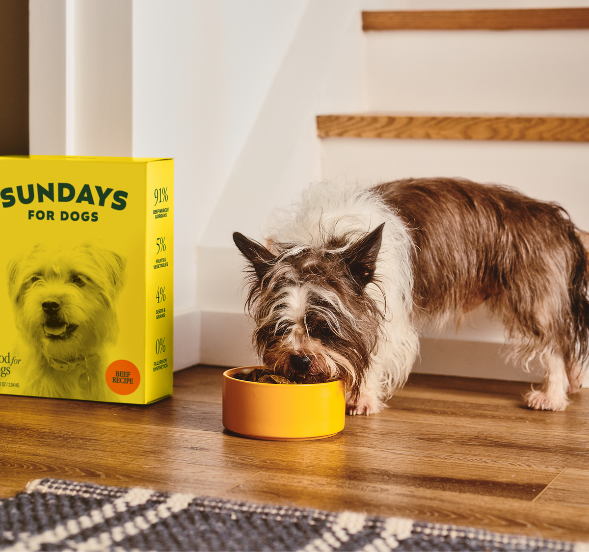 Air-Dried Dog Food Beef