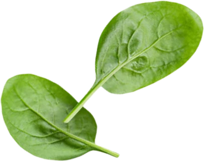 Fillers or Synthetics